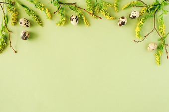 春天复活节花框架自然树分支机构黄色的花和鹌鹑鸡蛋绿色背景与复制空间有创意的平躺前视图模板为你的设计春天复活节花框架自然树分支机构黄色的花和鹌鹑鸡蛋绿色背景与复制空间有创意的平躺前视图模板为你的设计
