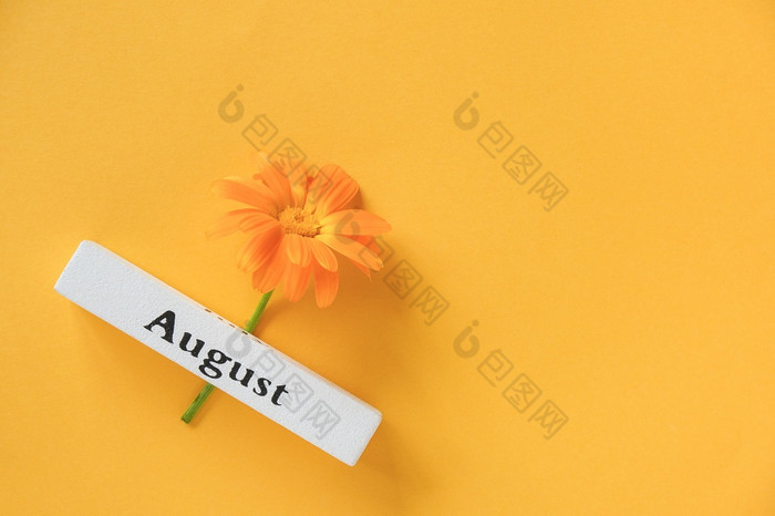 一个橙色聚花和日历夏天月8月黄色的背景前视图复制空间平躺最小的风格概念你好8月模板为你的设计问候卡一个橙色聚花和日历夏天月8月黄色的背景前视图复制空间平躺最小的风格概念你好8月模板为你的设计问候卡