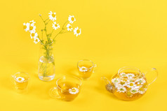 三个杯甘菊茶透明的茶壶和花瓶与雏菊花黄色的背景洋甘菊茶好处你的健康概念三个杯甘菊茶透明的茶壶和花瓶与雏菊花黄色的背景洋甘菊茶好处你的健康概念