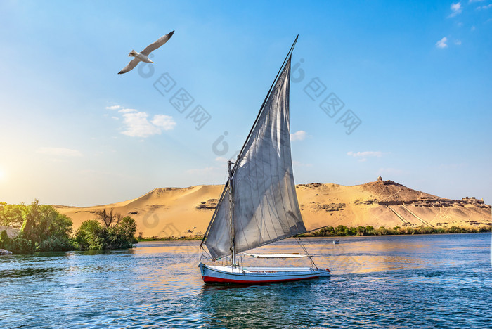 海鸥在帆船河尼罗河阿斯旺日落埃及海鸥在帆船