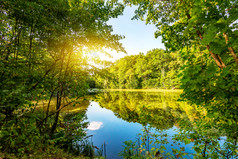 太阳在湖的森林夏天太阳在湖森林