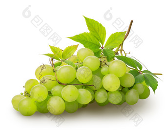 群绿色葡萄孤立的白色背景群绿色葡萄