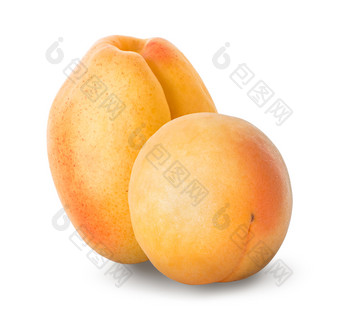 两个成熟的杏子孤立的白色背景两个成熟的杏子