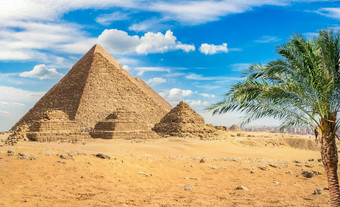 棕榈树附近埃及金字塔沙漠吉萨开罗金字塔和棕榈树