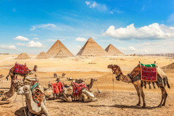 骆驼家庭有休息附近的伟大的<strong>金字</strong>塔吉萨骆驼家庭和<strong>金字</strong>塔