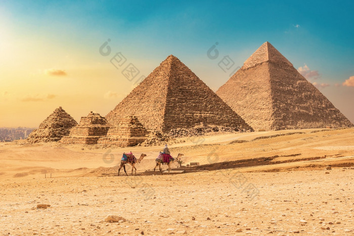 贝都因人与骆驼背景金字塔日落金字塔日落