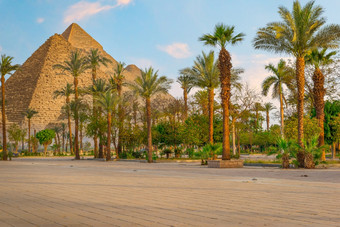 公园与棕榈树和的伟大的<strong>金字</strong>塔开罗埃及公园和<strong>金字</strong>塔