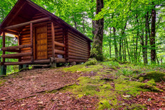 木森林房子biogradskoe湖黑山共和国木森林房子