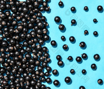 黑色的醋栗浆果宏照片前视图黑色的醋栗蓝色的背景夏天浆果平躺