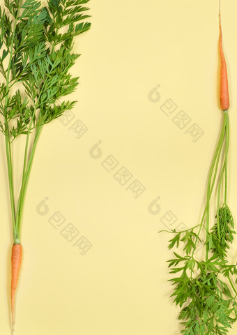 胡萝卜孤立的明亮的黄色的背景前视图群胡萝卜复制空间胡萝卜孤立的明亮的黄色的背景