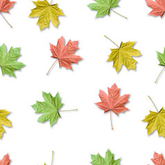 秋天Bacground色彩斑斓的枫木叶子无缝的模式枫木叶子孤立的