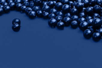 黑色的醋栗浆果宏照片黑色的醋栗蓝色的背景夏天浆果时尚的横幅与颜色的一年黑色的醋栗浆果宏照片前视图