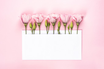时尚的横幅为情人节一天国际女人的一天母亲一天聚会，派对婚礼邀请eustoma花安排与花和空白卡粉红色的背景eustoma花安排与花和空白卡粉红色的背景