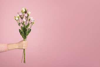 美丽的花束粉红色的eustoma女手粉红色的背景时尚的横幅为情人节一天国际女人的一天母亲一天与复制空间美丽的花束粉红色的eustoma女手粉红色的背景复制空间