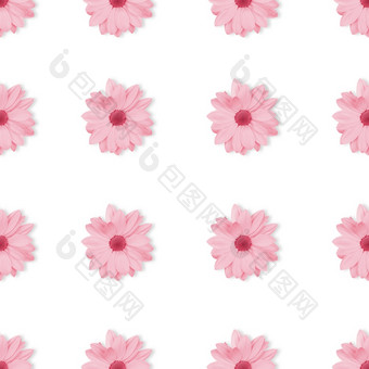 单色柔和的粉红色的花花无缝的模式孤立的白色背景<strong>洋甘菊菊</strong>花花模式复制空间前视图单色柔和的粉红色的花花无缝的模式孤立的白色背景<strong>洋甘菊菊</strong>花花模式复制空间前视图