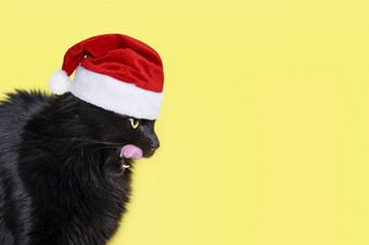 有趣的黑色的毛茸茸的猫红色的圣诞<strong>老人老人</strong>他舔他的嘴唇可爱的毛茸茸的猫舔嘴唇新一年圣诞节横幅与复制空间为文本有趣的黑色的毛茸茸的猫红色的圣诞<strong>老人老人</strong>他舔他的嘴唇可爱的毛茸茸的猫舔嘴唇新一年圣诞节横幅与复