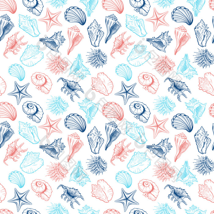 贝壳和海星向量无缝的模式海洋生活生物色彩斑斓的图纸海海胆徒手画的大纲水下动物雕刻壁纸包装纸纺织设计贝壳集合向量无缝的模式