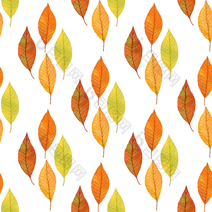 秋天叶子背景与粗略的无缝的模式秋天叶子背景与粗略的无缝的模式秋天的自然主题设计