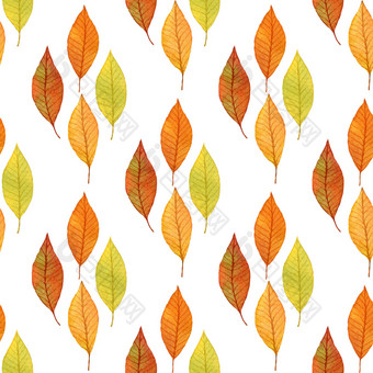 秋天叶子背景与粗略的无缝的模式秋天叶子背景与粗略的无缝的模式秋天的自然主题设计