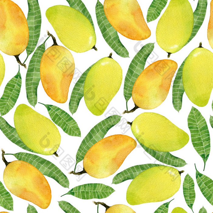 水彩热带无缝的模式与黄色的芒果水果和叶子手画插图孤立的白色背景越南水果水彩无缝的模式与黄色的芒果水果和叶子