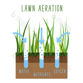 草坪上曝气过程水和空气土壤草坪上草哪服务园艺和景观设计孤立的插图为文章infographics指令白色背景向量草坪上哪向量
