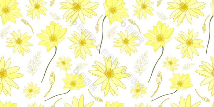 黄色的花白色背景模式场夏天花美丽的精致的模式的织物黄色的花白色背景模式场夏天花美丽的精致的模式的织物