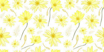 黄色的花白色背景模式场夏天花美丽的精致的模式的织物黄色的花白色背景模式场夏天花美丽的精致的模式的织物