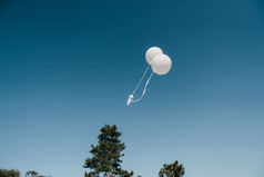 白色气球飞走了白色气球发布成的天空白色气球对的蓝色的天空白色气球飞走了白色气球发布成的天空