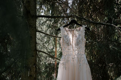 白色婚礼衣服的新娘挂起树分支的森林婚礼衣服树的公园伴娘衣服树分支