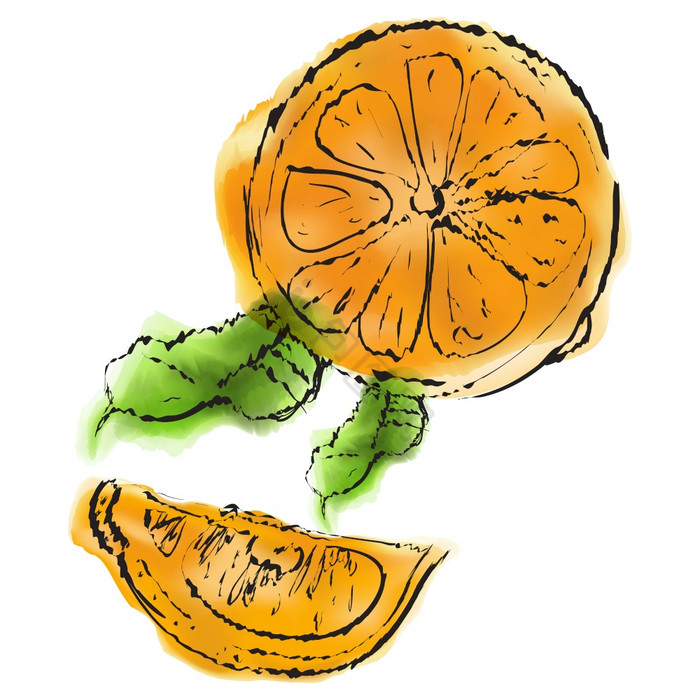 向量手画水果效果有机食物插图