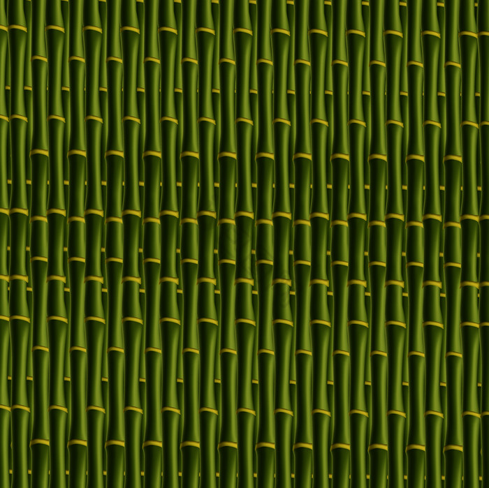 竹子坚持模式向量插图模板壁纸竹子波兰人蒸图片