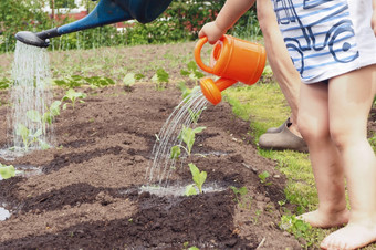 小男孩的夏天的花园浇水植物与橙色浇水可以
