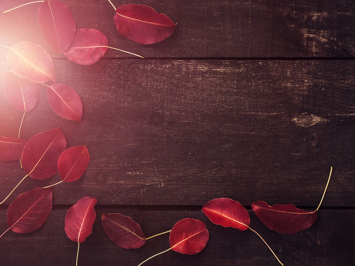 美丽的红色的叶子棕色（的）木木板和的地方为你的登记前视图特写镜头祝贺你爱的家庭朋友和的同事们红色的叶子棕色（的）木木板前视图特写镜头