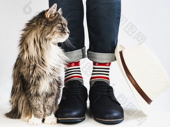 迷人的基蒂但rsquo腿明亮的五彩缤纷的袜子与航海主题他和鞋子白色孤立的背景特写镜头概念风格时尚和美迷人的基蒂但rsquo腿明亮的五彩缤纷的袜子