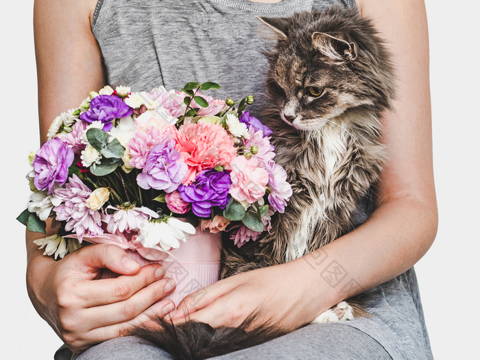 可爱的甜蜜的小猫古董花瓶明亮的花束花和女人特写镜头宠物哪概念可爱的甜蜜的小猫明亮的花束和女人