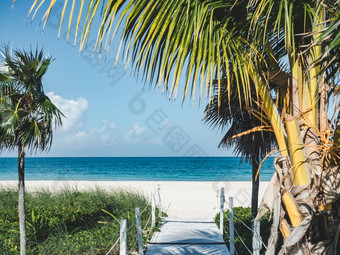 美丽的<strong>照片</strong>废弃的海滩和棕榈<strong>树</strong>的加勒比海岸特写镜头人休闲和旅行概念美丽的<strong>照片</strong>废弃的海滩和棕榈<strong>树</strong>