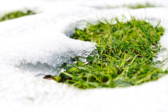 春天时间概念融化雪和日益增长的绿色草<strong>阳光</strong>明媚的一天特写镜头