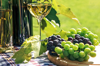 群新鲜的葡萄下一个酒瓶和葡萄酒杯的背景乡村葡萄园和阳光