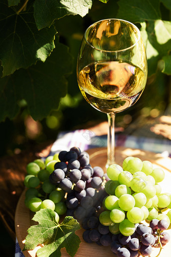 白色酒葡萄酒杯和群新鲜的葡萄的背景乡村葡萄园