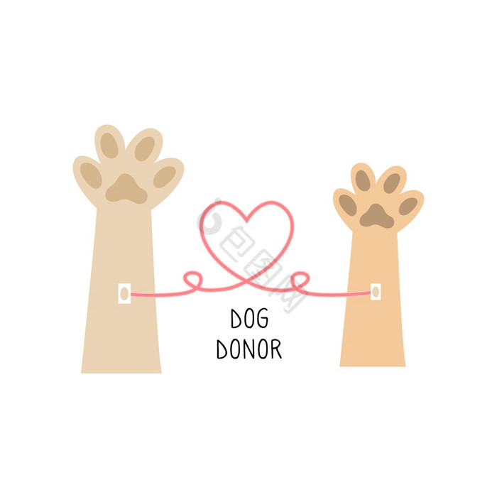 狗捐赠血捐赠兽医宠物帮助狗捐赠血捐赠向量图片