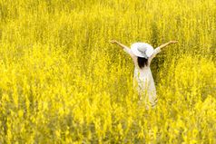 回来视图美女人与白色翼他和白色衣服的花草地人和时尚概念自然和放松主题幸福女旅行者在假期旅行