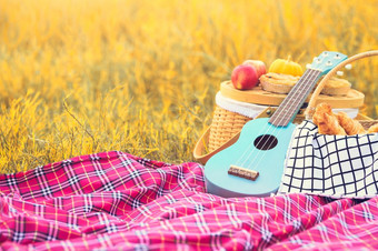 野餐道具的秋天草地场尤克里里琴吉他野餐<strong>篮子</strong>面包和水果野餐席草对象和旅行放松概念复制空间