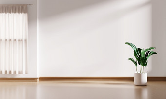 白色室内空房间背景与窗口和monstera植物能木地板上和百叶窗室内和体系结构概念生态装饰风格<strong>插图</strong>呈现图形设计