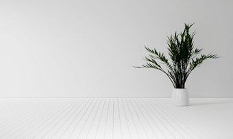 <strong>室内植物</strong>与复制空间白色木地板上背景室内和自然装饰概念插图呈现