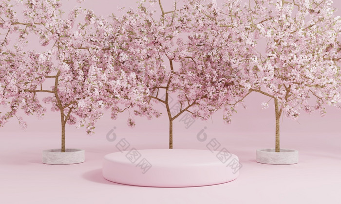 最小的风格油缸粉红色的产品讲台上展示与樱桃开花树樱花日本语言公共花园技术和对象概念插图呈现