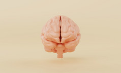 橙色简单的心大脑模型黄色的背景医疗科学医疗保健和摘要对象概念插图呈现
