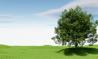 <strong>大树</strong>与蓝色的天空背景自然和景观概念插图呈现