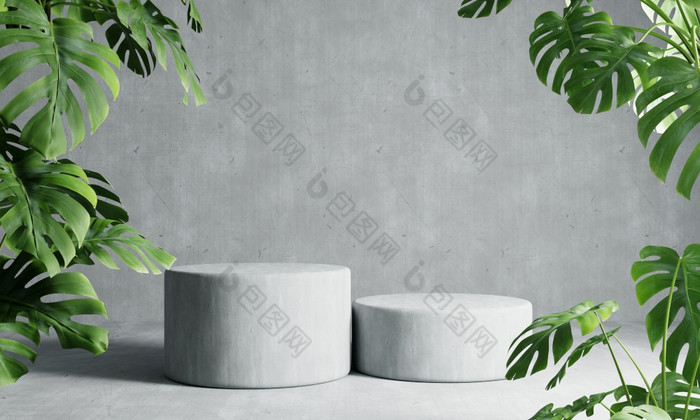 两个轮领奖台灰色阁楼颜色背景与monstera植物前景摘要壁纸模板元素和体系结构室内对象概念插图呈现