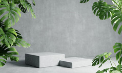 两个矩形领奖台灰色阁楼颜色背景与monstera植物前景摘要壁纸模板元素和体系结构室内对象概念插图呈现