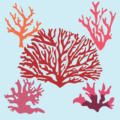 美丽的手画植物向量插图与热带珊瑚孤立的蓝色的背景